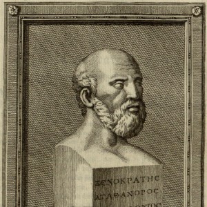 Xenocrates - Image