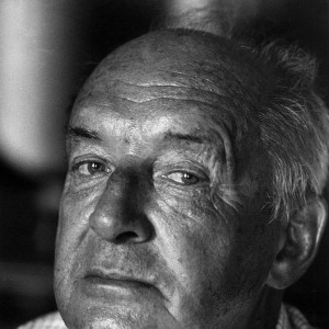 Vladimir Nabokov - Image