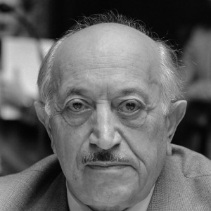 Simon Wiesenthal - Image