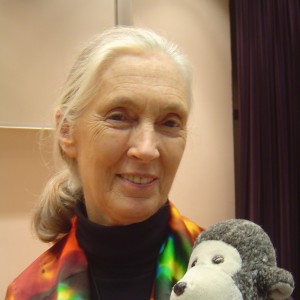 Jane Goodall - Image