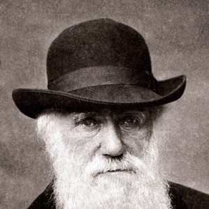 Charles Darwin - Image