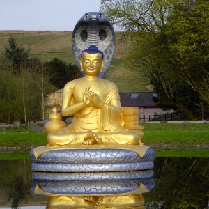 Nagarjuna - Image