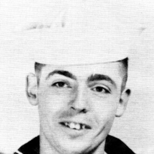Thomas Pynchon - Image
