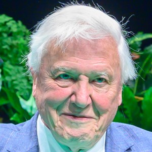 David Attenborough - Image