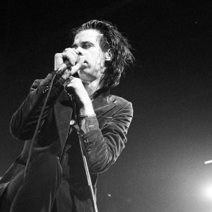 Nick Cave - Image