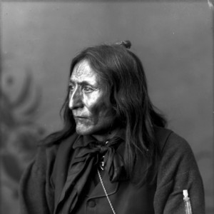 Crowfoot - Image
