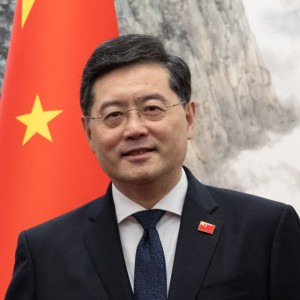 Qin Gang - Image