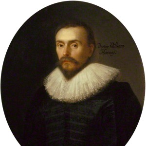William Harvey - Image