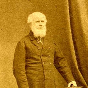 William Howitt - Image