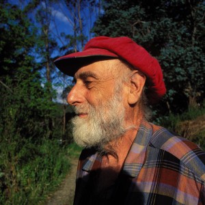 Friedensreich Hundertwasser - Image