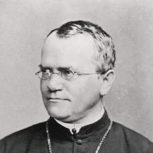 Gregor Mendel - Image