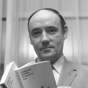 Desmond Morris - Image