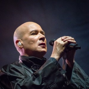 Philip Oakey - Image