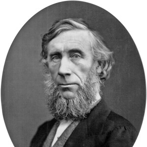 John Tyndall - Image