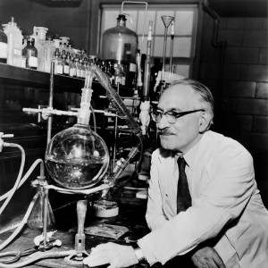 Selman Waksman - Image