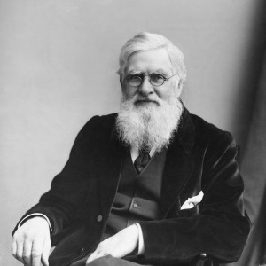 Alfred Russel Wallace - Image