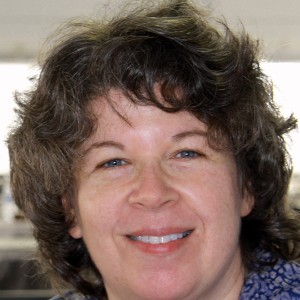 Meg Wolitzer - Image