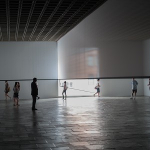 Robert Irwin - Image