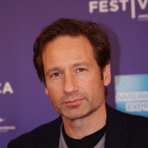 David Duchovny - Image