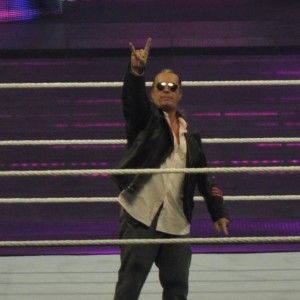 Bret Hart - Image