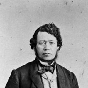 Thomas D'Arcy McGee - Image