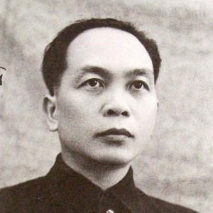 Võ Nguyên Giáp - Image