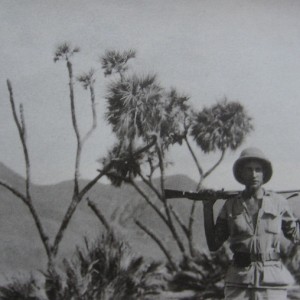 Wilfred Thesiger - Image