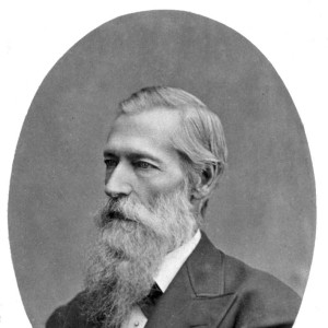 Mark Hopkins - Image