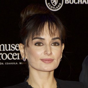 Ana de la Reguera - Image