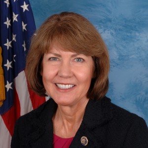 Ann Kirkpatrick - Image