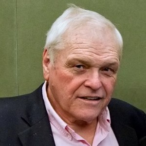 Brian Dennehy - Image