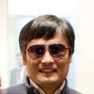 Chen Guangcheng - Image
