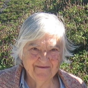 Etel Adnan - Image