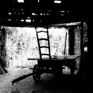 Harry Bertoia - Image