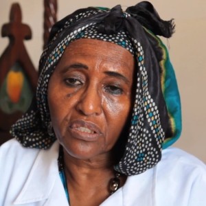 Hawa Abdi - Image
