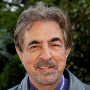Joe Mantegna - Image
