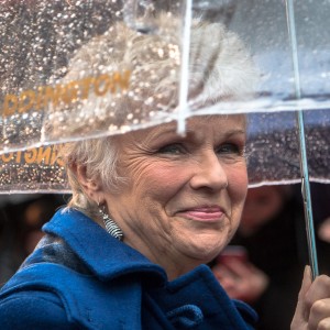 Julie Walters - Image