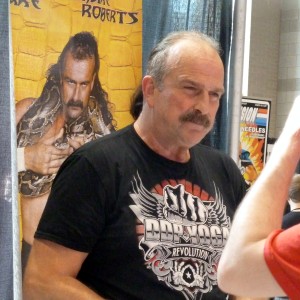 Jake Roberts - Image