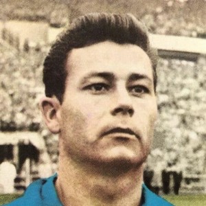 Just Fontaine - Image
