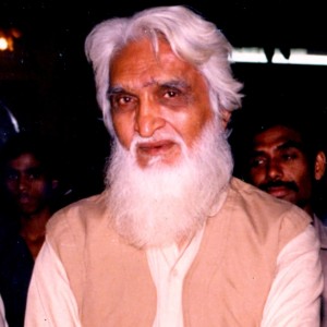 M. F. Husain - Image