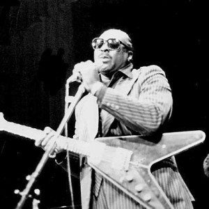 Albert King - Image