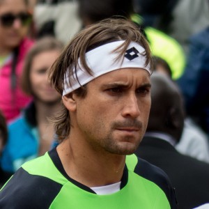David Ferrer - Image