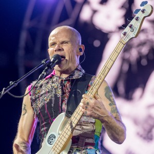 Flea - Image