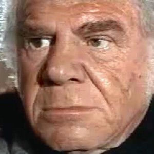 Lionel Stander - Image