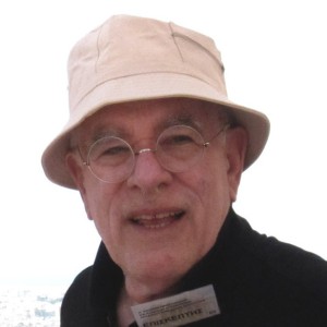 Peter Eisenman - Image