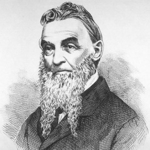 Robert Nelson - Image