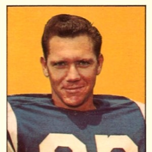 Raymond Berry - Image