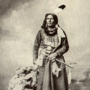 Standing Bear - Image