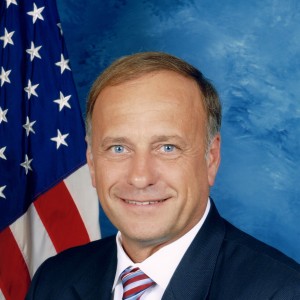 Steve King - Image