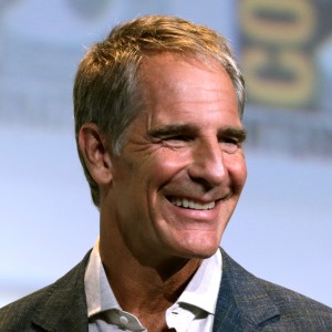 Scott Bakula - Image